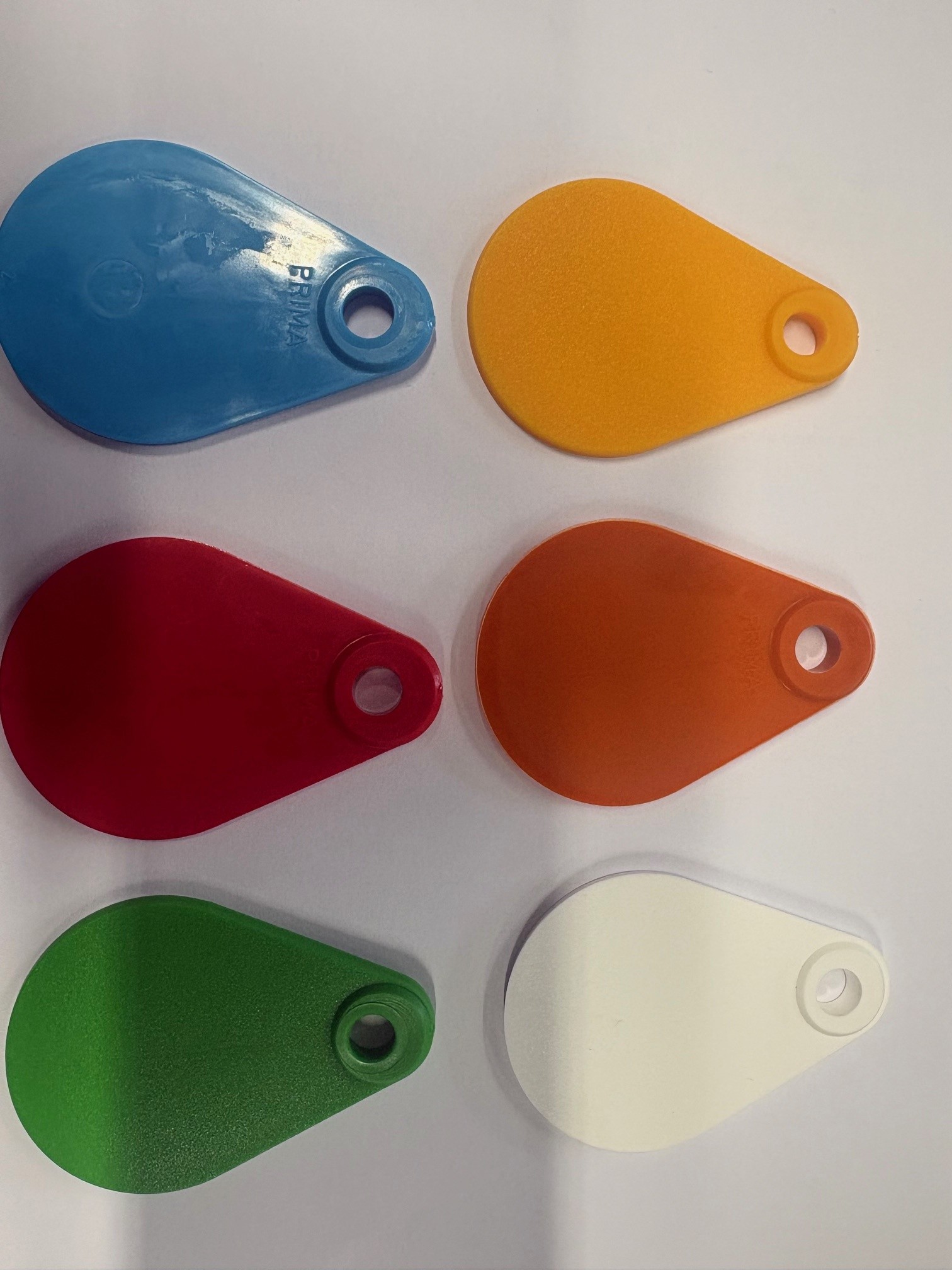 Halsschild blanko zum Anh&auml;ngen <br>