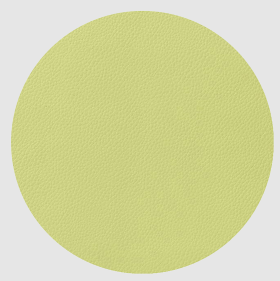 Untersetzer &oslash; 10 cm <br>