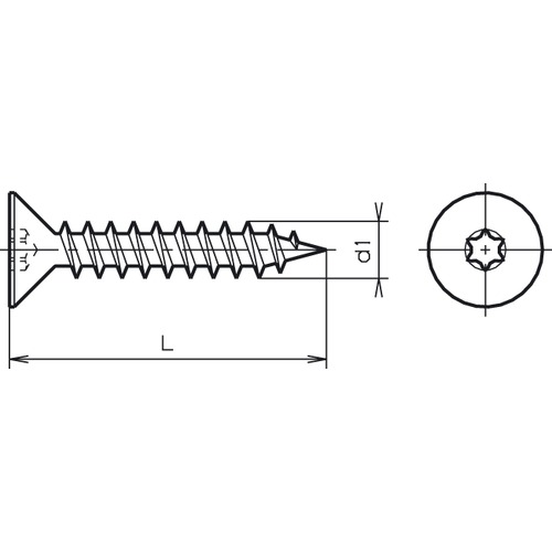 SK Spanplattenschraube T rostfrei  3x16mm<br>