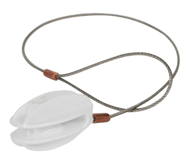 Zugisolator S Verst&auml;rkt wei&szlig; inkl Edelstahldraht (5)<br>