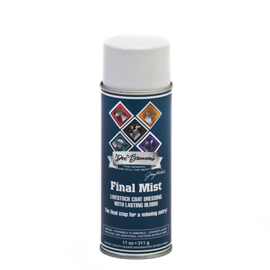 Final Mist Glanzspray <br>