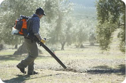 Husqvarna 580BTS Benzin Blasgerät<br>