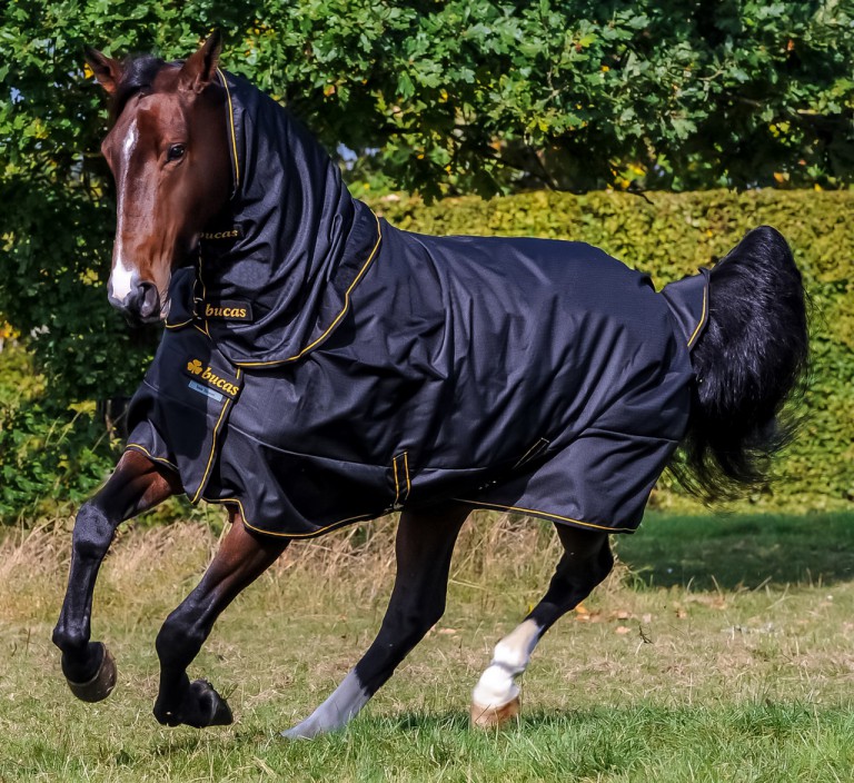 Bucas Irish Turnout S<br> Farbe / Grösse: schwarz S 135 cm