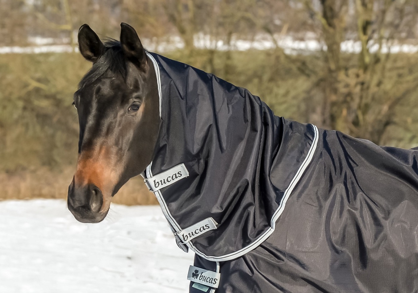 Bucas Smartex Turnout  S<br> Farbe / Grösse: schwarz / S