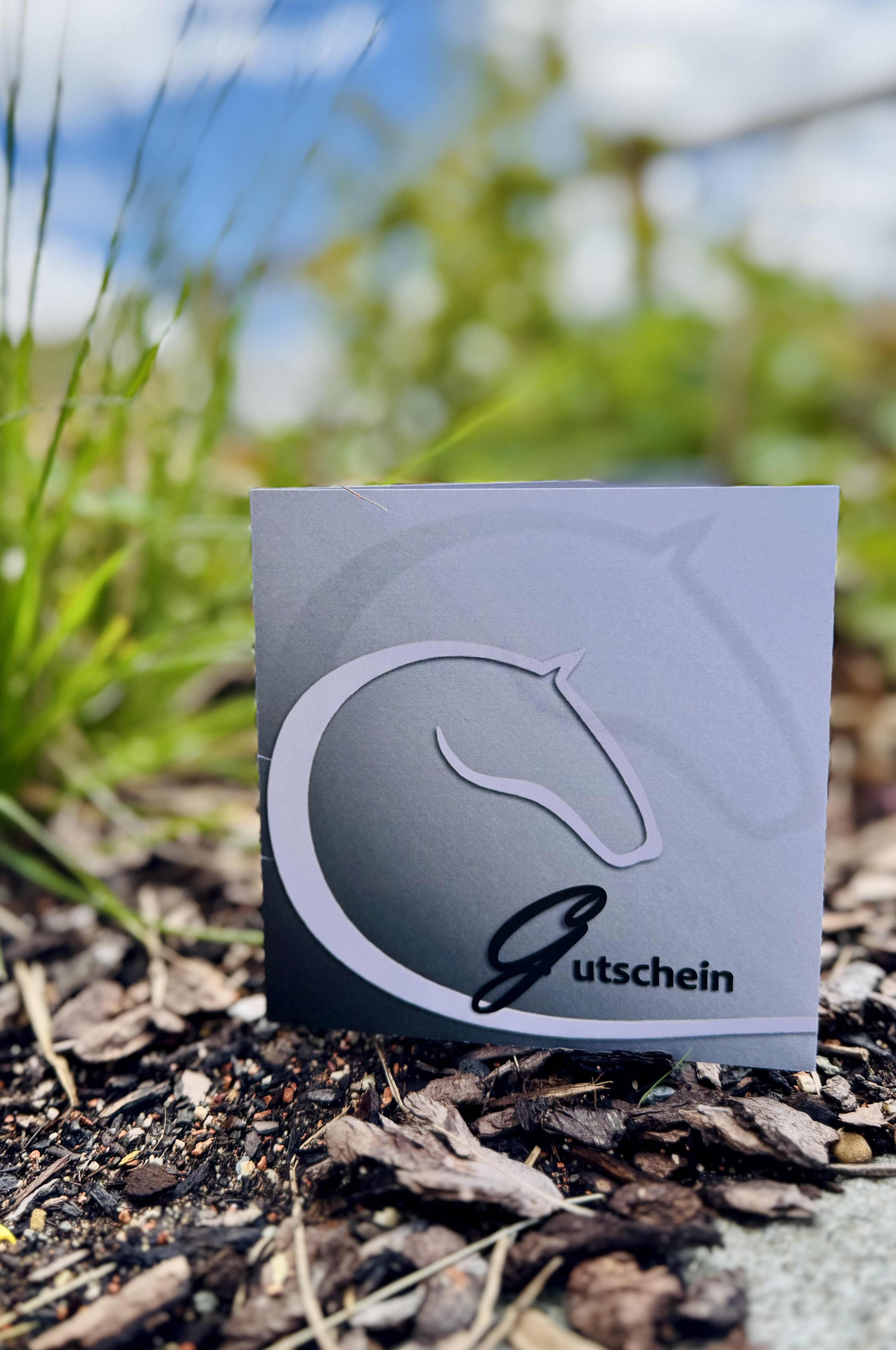 saddles-tack.ch Geschenkkarte<br>