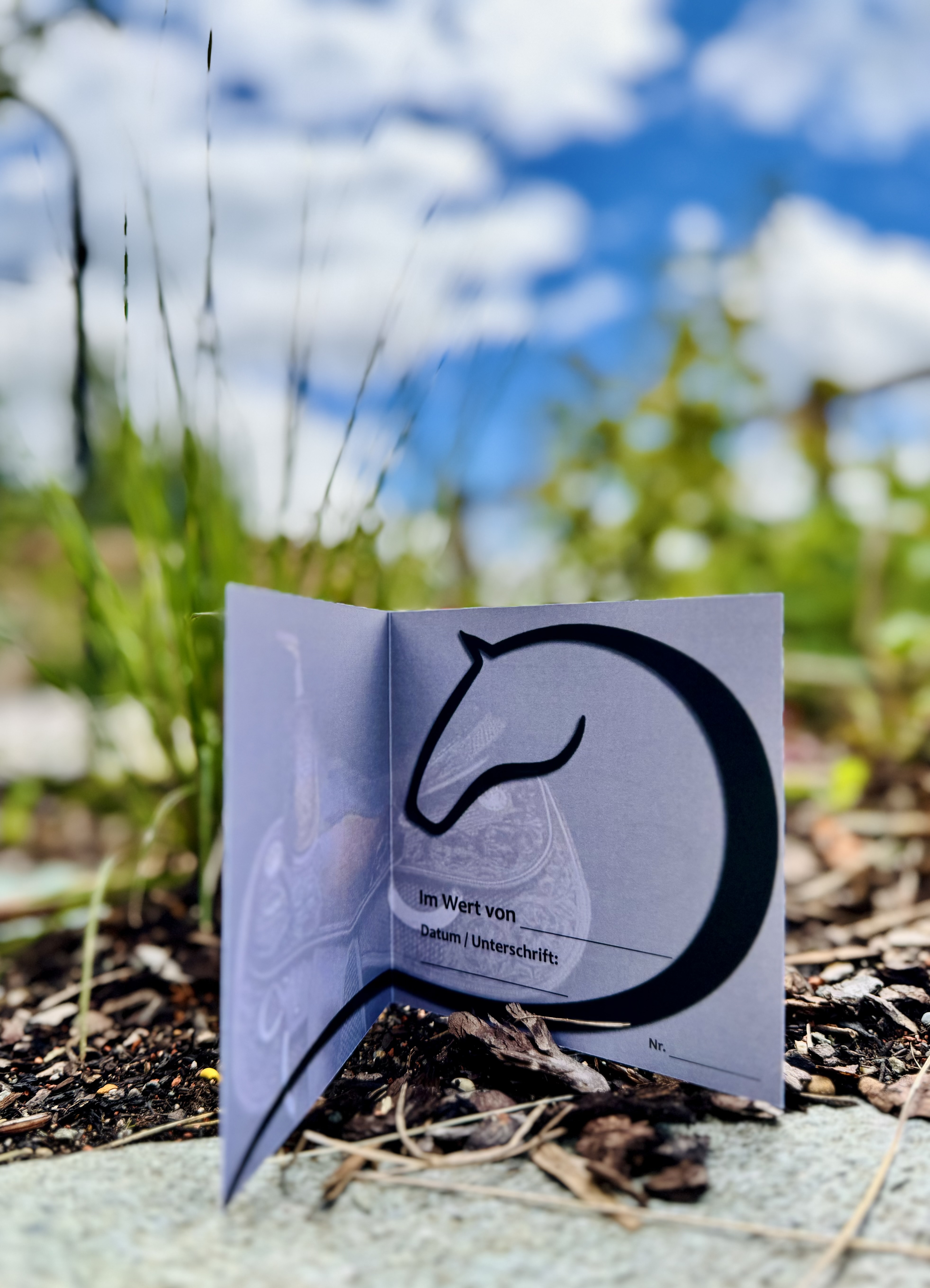 saddles-tack.ch Geschenkkarte<br>