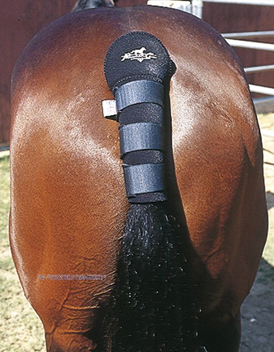 Tail Wrap - Black<br>