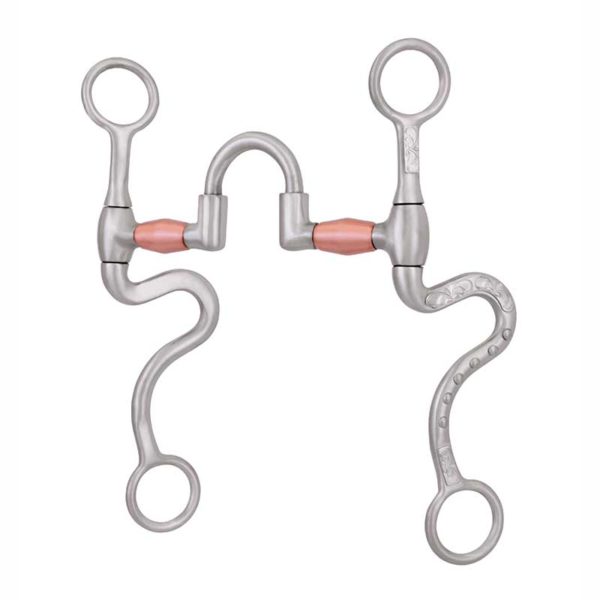 Jonathan Gauthier Correcting Bit<br>