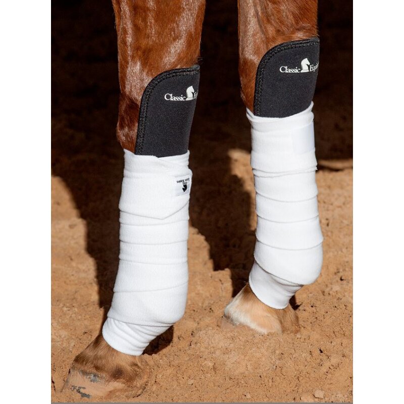 Classic Equine Knee Guard<br>