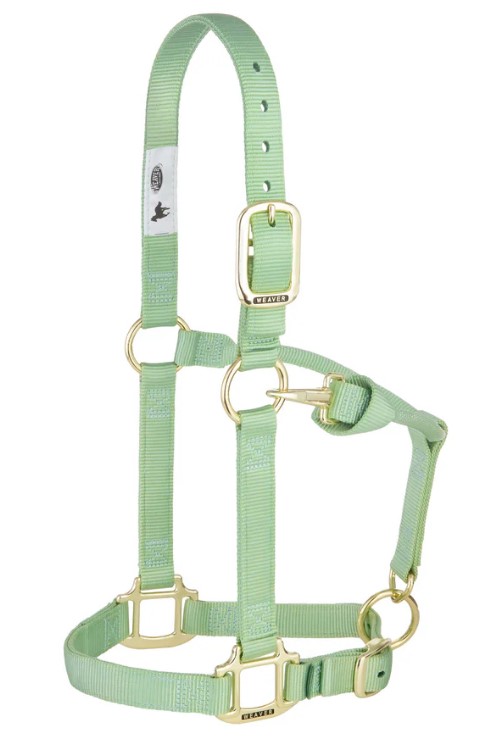 Weaver Nylonhalfter Small<br> Farbe: Pistachio Green