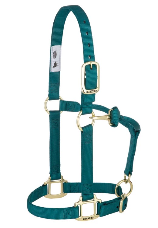 Weaver Nylonhalfter Small<br> Farbe: Teal