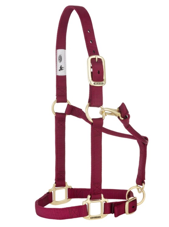 Weaver Nylonhalfter Small<br> Farbe: Burgundy