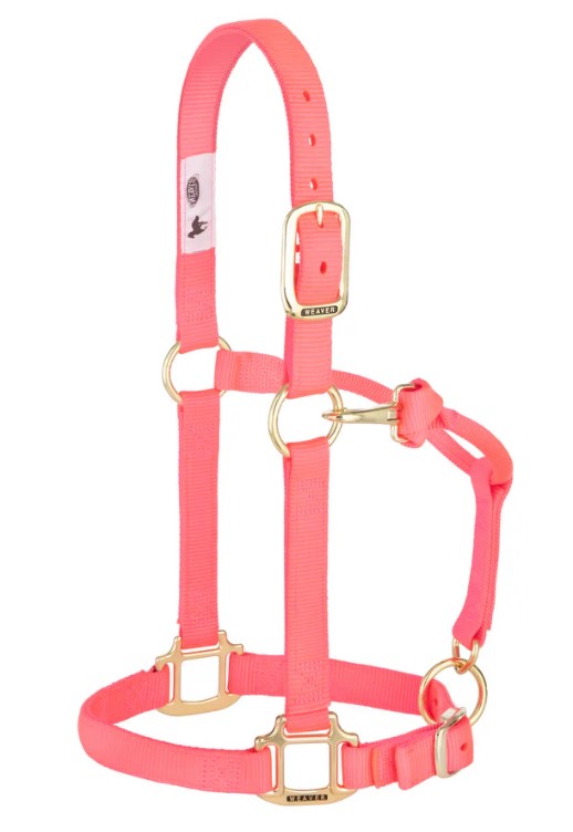 Weaver Nylonhalfter Small<br> Farbe: Diva Pink