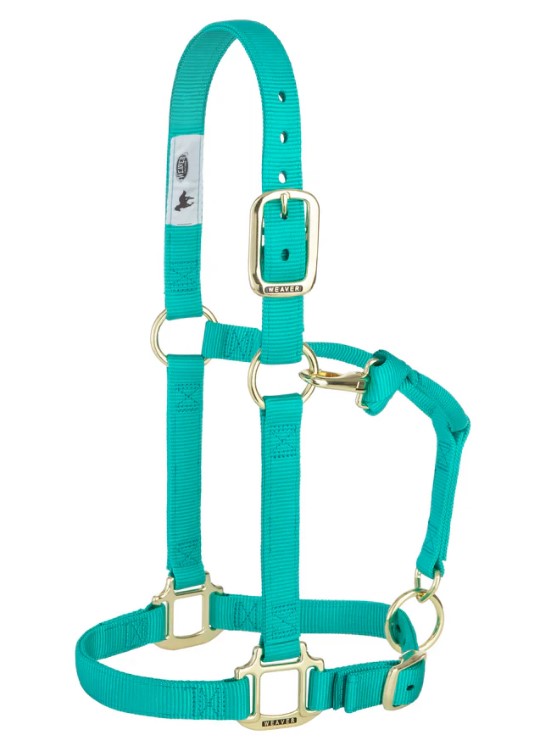 Weaver Nylonhalfter Small<br> Farbe: Emerald