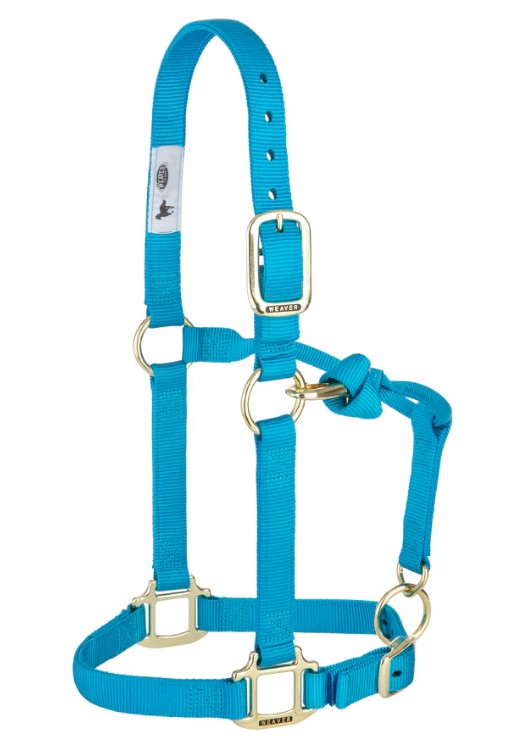 Weaver Nylonhalfter Small<br> Farbe: Hurricane Blue