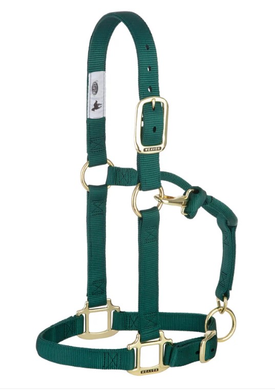 Weaver Nylonhalfter Small<br> Farbe: Hunter Green