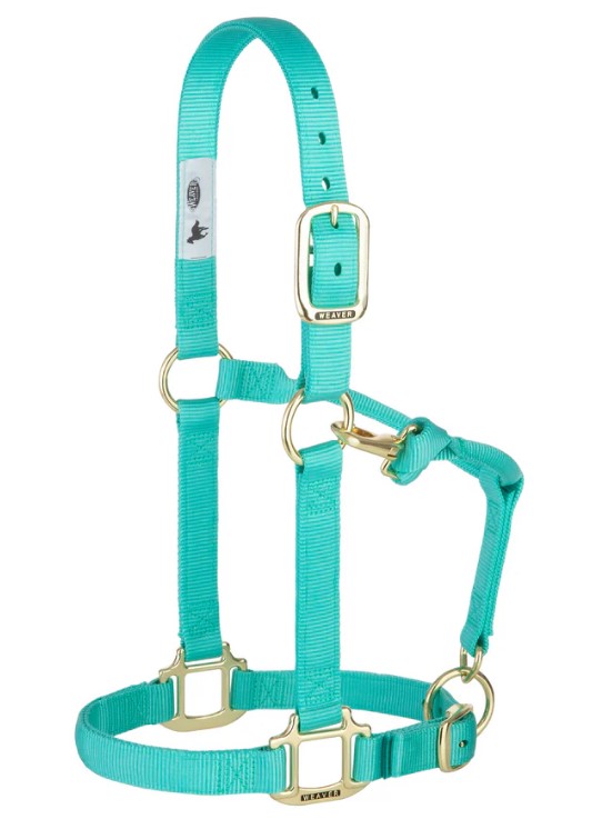 Weaver Nylonhalfter Small<br> Farbe: Mint