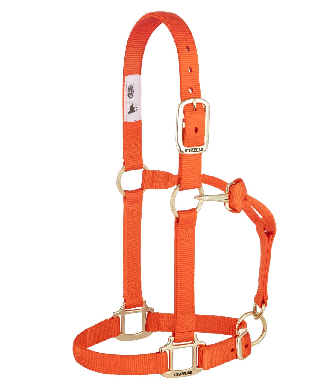 Weaver Nylonhalfter Small<br> Farbe: Orange