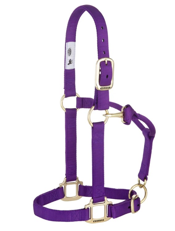 Weaver Nylonhalfter Average<br> Farbe: Purple