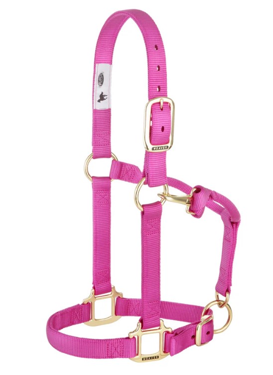 Weaver Nylonhalfter Small<br> Farbe: Raspberry