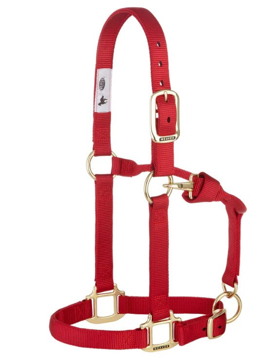 Weaver Nylonhalfter Small<br> Farbe: Rot